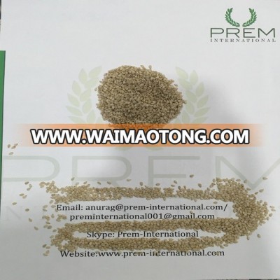 Bulk Exporter of Quality Unhulled Golden Sesame Seed Available at Wholesale Price