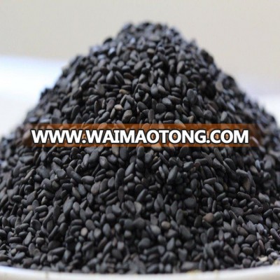 Natural Black Sesame Seed Sortex Clean Europe Quality and Singapore Quality Available at Cheap Price